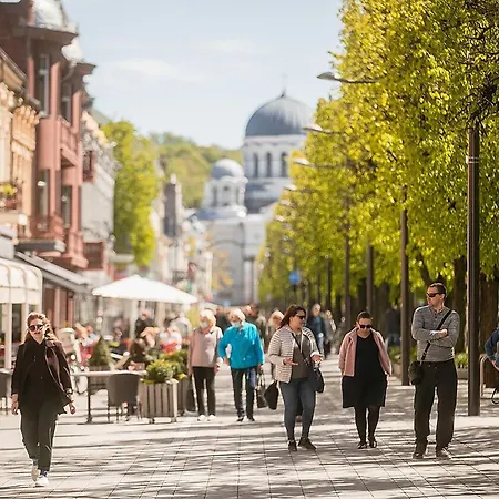 Vincent Heritage Appartments - Near Clinic, Arena And Stadium *