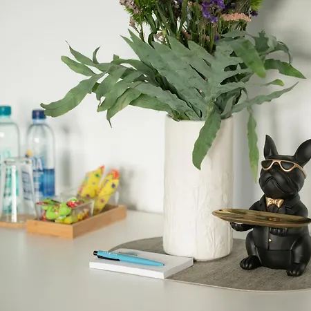 Vincent Heritage Appartments - Near Clinic, Arena And Stadium *