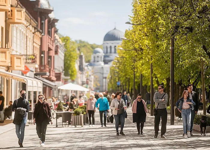 Vincent Heritage Appartments - Near Clinic, Arena And Stadium *