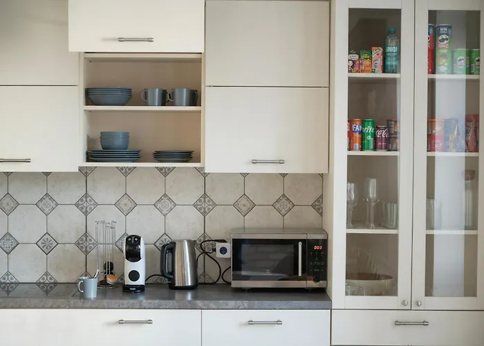 Daire Vincent Heritage Appartments - Near Clinic, Arena And Stadium Kaunas