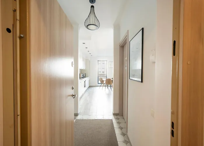 Vincent Heritage Appartments - Near Clinic, Arena And Stadium Kaunas